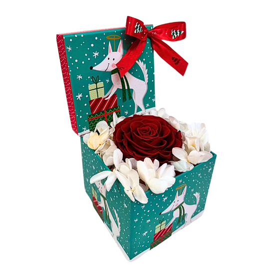 Christmas Rose Gift Box: A Tiny Treasure of Love - RED -green