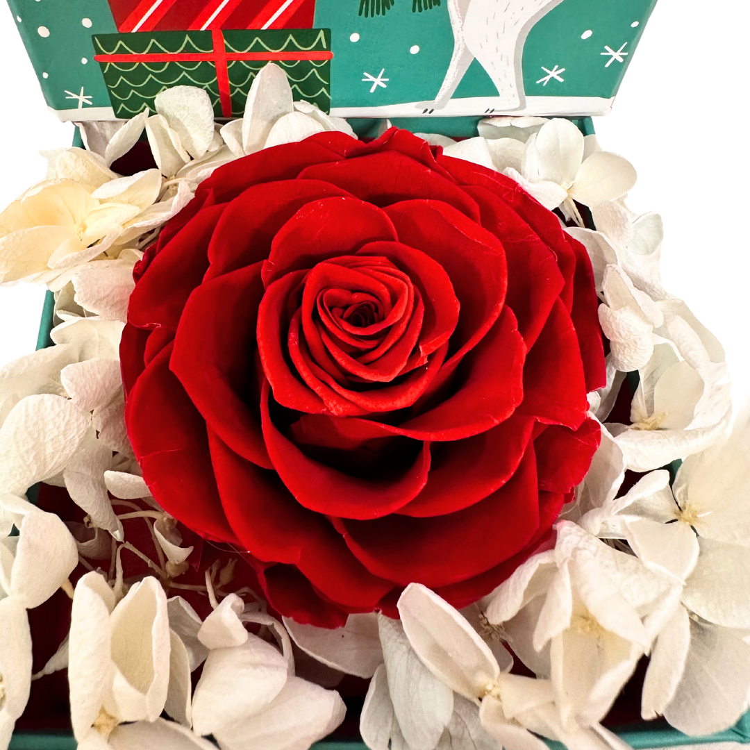 Christmas Rose Gift Box: A Tiny Treasure of Love - RED -green