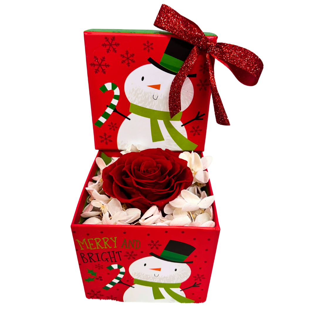 Christmas Rose Gift Box: A Tiny Treasure of Love - RED