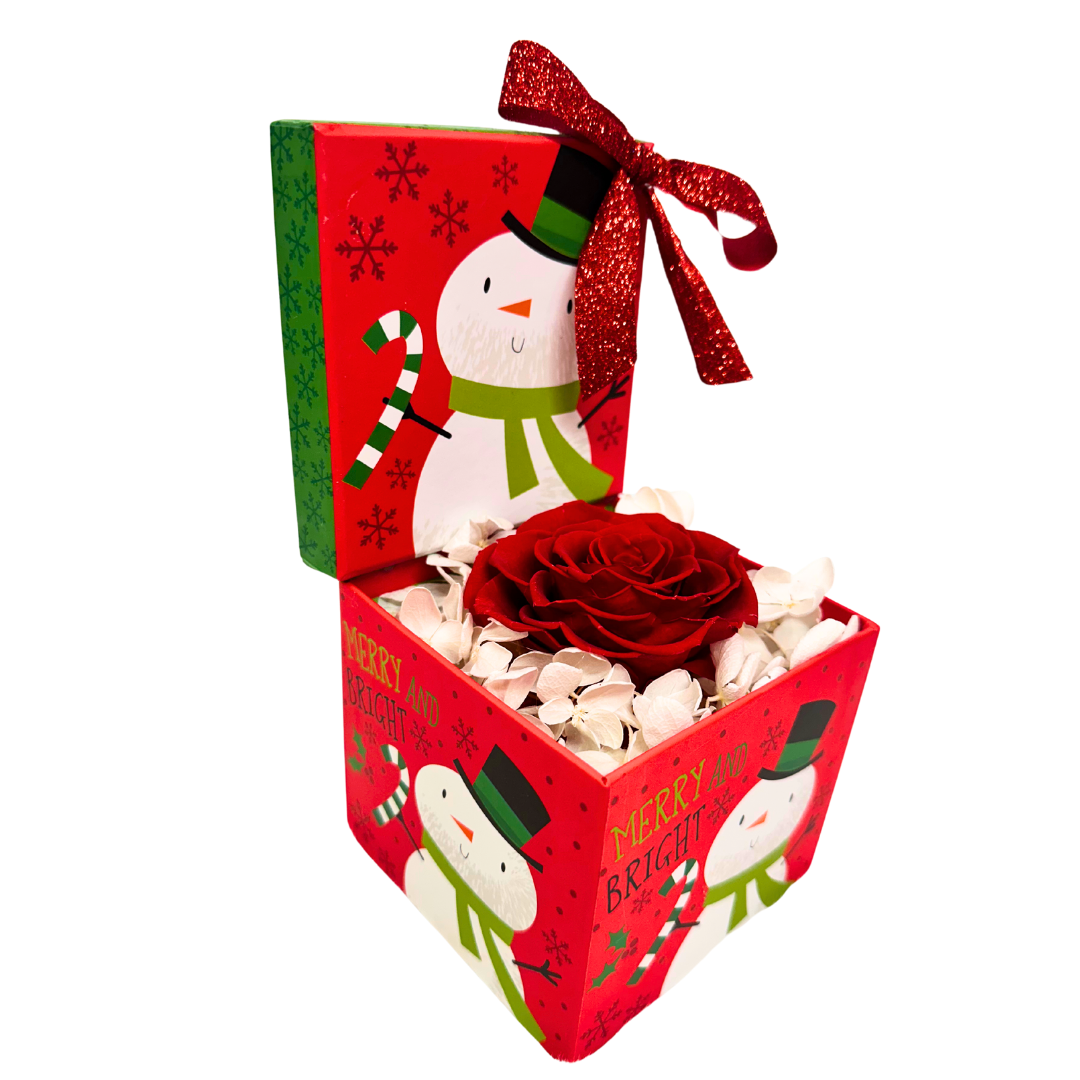 Christmas Rose Gift Box: A Tiny Treasure of Love - RED