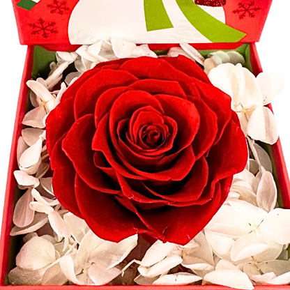 Christmas Rose Gift Box: A Tiny Treasure of Love - RED