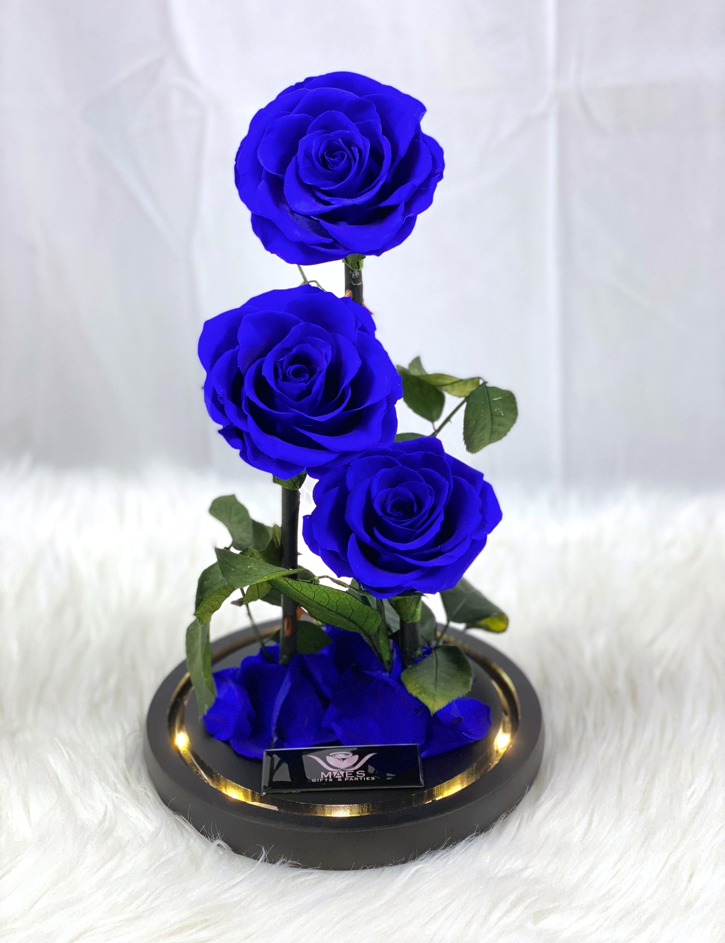 The Three Lovely Preserved Roses | Dark Blue