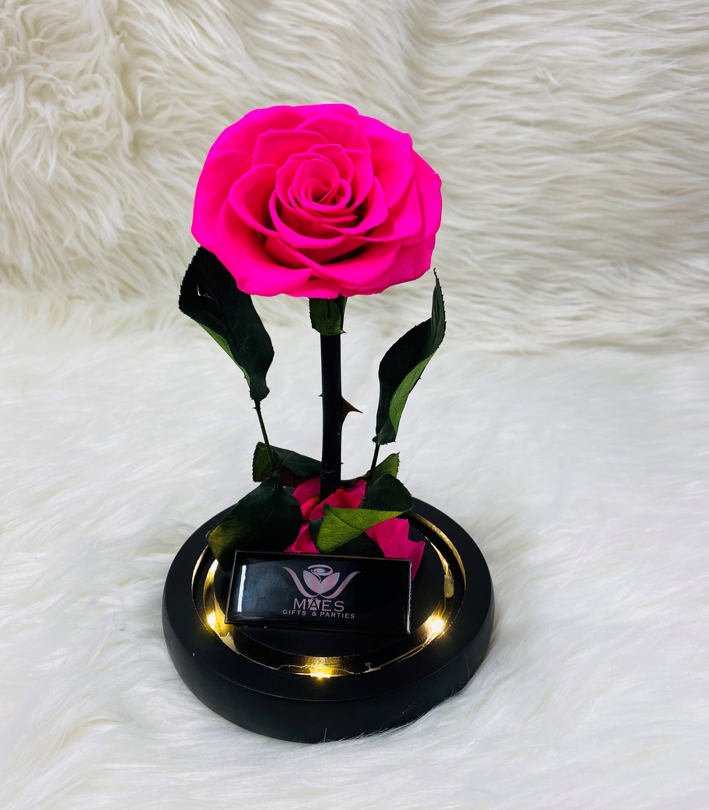 Single Preserved Rose -Tall | Fucsia