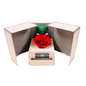 Deluxe Drawer Box with three Preserved Roses | Rose and Bear